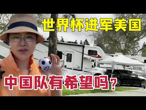 泽德,主场激战,能否再下一,B体育,B,SPORTS,B体育网址,B体育app,B体育官网,B体育集团
