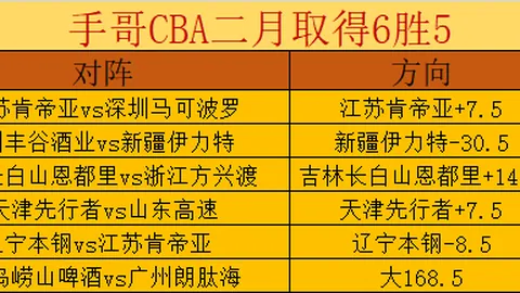 辛纳阐述：努力成就澳网辉煌之路